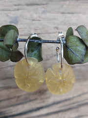 Bild in der Galerie-Ansicht anzeigen, Sandstein Creolen