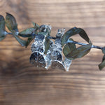 Bild in der Galerie-Ansicht anzeigen, Creolen Muschel
