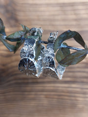 Bild in der Galerie-Ansicht anzeigen, Creolen Muschel
