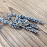 Bild in der Galerie-Ansicht anzeigen, Ohrstecker Silver
