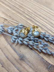 Bild in der Galerie-Ansicht anzeigen, Ohrstecker golden
