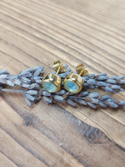 Bild in der Galerie-Ansicht anzeigen, Ohrstecker golden
